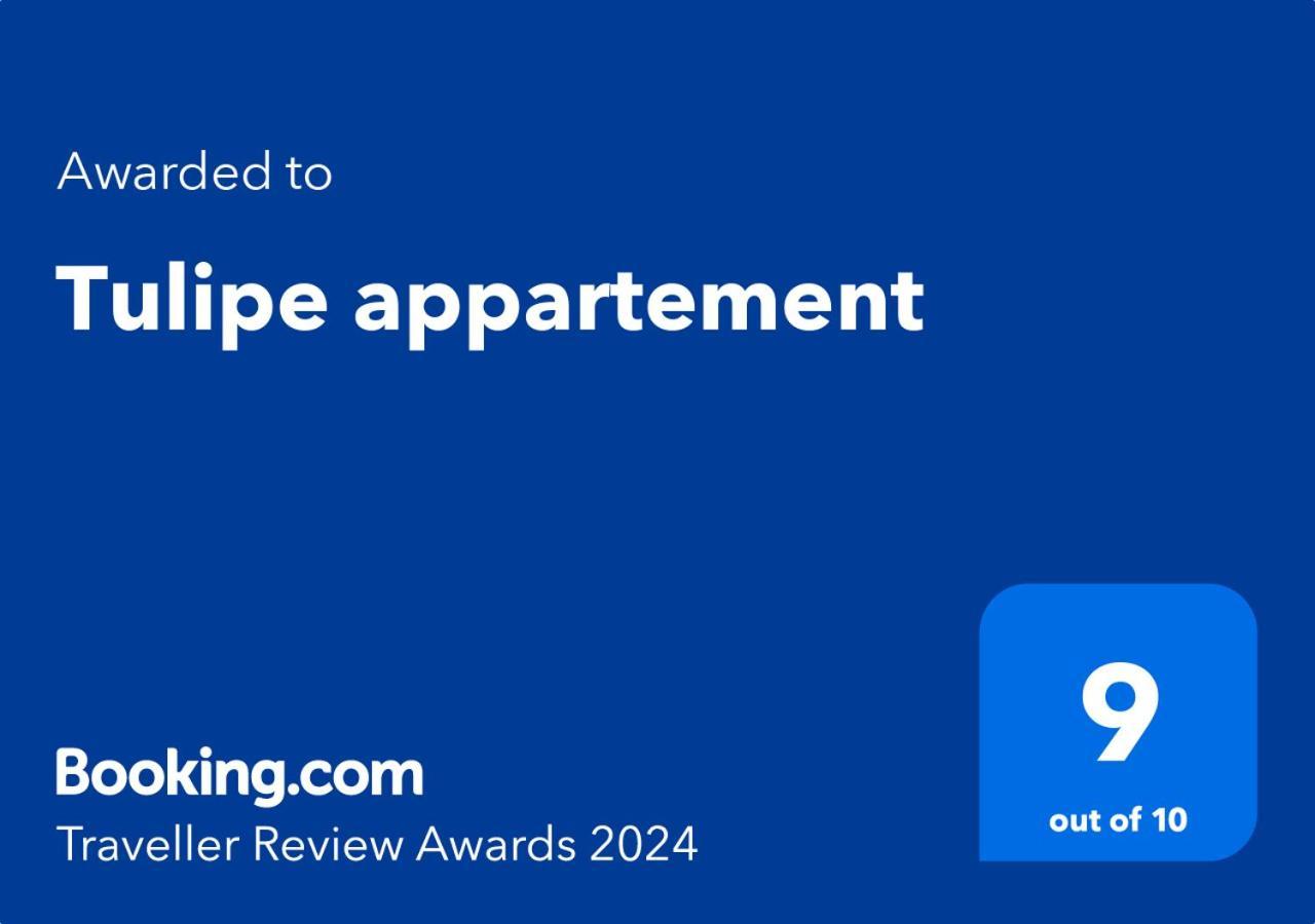 Tulipe Appartement 오랑 외부 사진